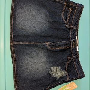 Winter Sale ❄️Dream Out Loud by Selena Gomez jean skirt